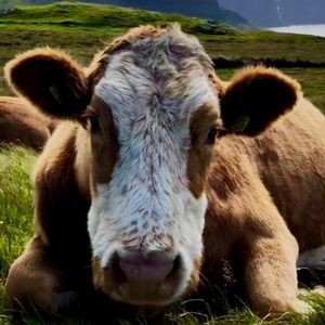 Meet your Posher, Braden